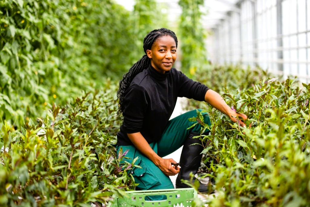 agricultrice dans sa plantation