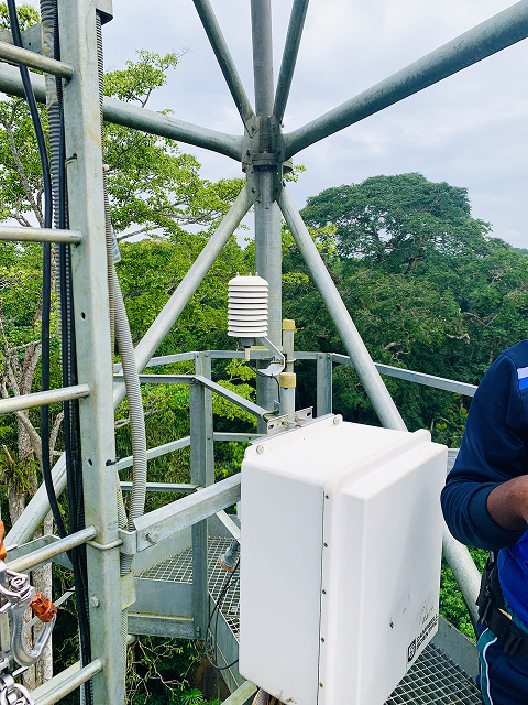 un coffret dans la tour