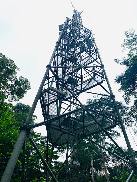 la tour vue d'en bas